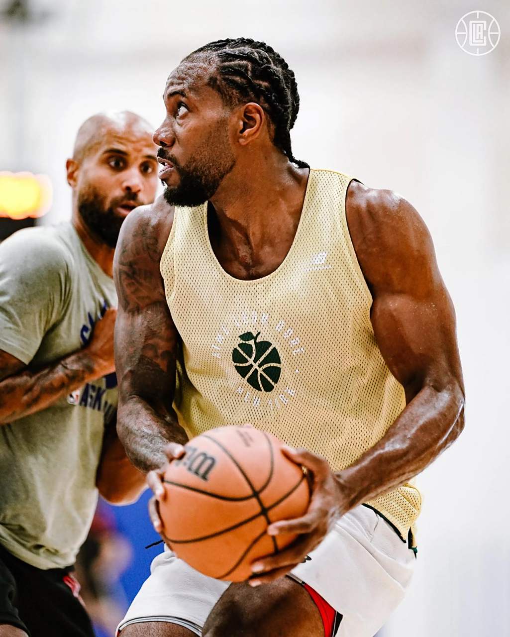 将决定下一 将决定下一